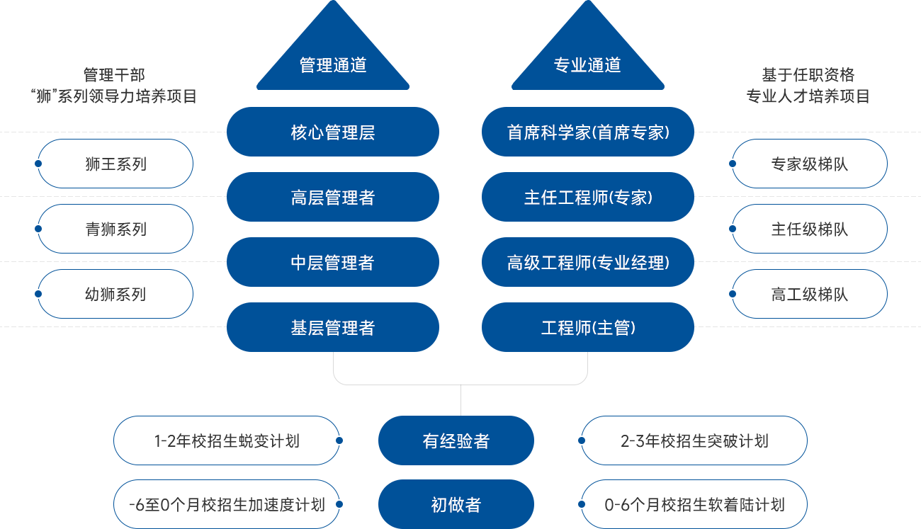 人才发展路径